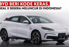 BYD Daftarkan Paten Desain Mobil Baru di Indonesia, Mirip Model Konsep Ocean-M