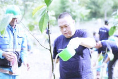 Hijaukan Lahan ! PT Bukit Asam Tbk (PTBA) Gelar Green Mining, Tanam Pohon Peringati Hari Lingkungan