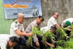 Lapas Kelas IIA Lahat Konsisten Dukung Ketahanan Pangan Pemasyarakatan