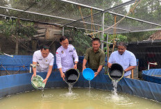 PT. Sawit Mas Sejahtera Luncurkan Program CSR Berkelanjutan untuk Penguatan Ekonomi Desa di Kikim Tengah