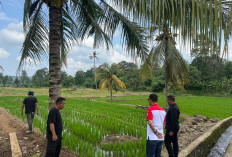 Kepala Lapas Kelas II B Empat Lawang Tinjau Langsung Lahan SAE