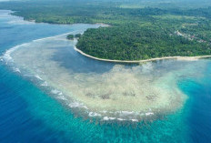 Pulau Enggano Bengkulu, Kaya Akan Potensi Ikan