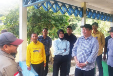 Jurus Pemkab Lahat Bidik PAD Lewat Sektor Wisata, Siapkan Revitalisasi Taman Ribang Kemambang