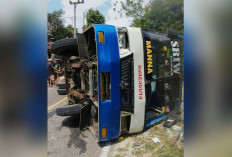 Bus Terguling di Lahat, Lima Penumpang Alami Luka-Luka