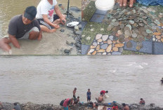 Koin Kuno dan Barang Antik Ditemukan di Sungai Lematang, Pasar Bawah Ulu