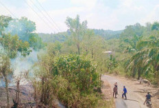 33 Hektar Lahan di Empat Lawang Terbakar Sepanjang Juli 2025,   Kerugian Diperkirakan Mencapai Rp3,5 Miliar