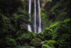 Dikelilingi Hutan Ttropis, Air Terjun Bossolo Memberikan Suasana Yang Sejuk dan Menyegarkan