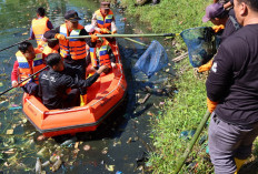 Mantap! PLN Gelar Employee Green Involvement di Sungai, Berhasil Kumpulkan 5 Ton Sampah Organik dan Anorganik 