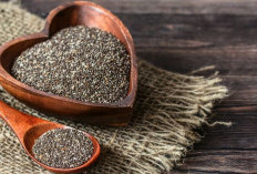 Mau Menambah Energi Berkelanjutan dan Pencernaan Optimal ? Coba Olah Saja Tanaman Obat Biji Chia 