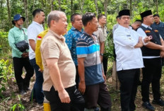 Kembangkan Usaha Perkebunan Durian