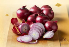 Manfaat Bawang Merah Dijadikan Tanaman Obat Baik untuk Kesehatan Tubuh