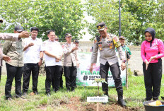 Sukseskan Gerakan Penghijauan