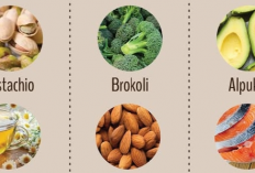 7 Jenis Makanan dan Tanaman Obat Cocok Meningkatkan Penyuburan Pria, Kaya Kandungan Vitamin C, Folat, Zinc..