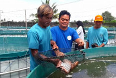 Pemda Lahat Dorong Bentuk Pokdakan