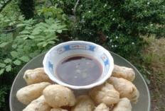 Ini Dia Pempek Dos, Cita Rasa Khas Palembang Sumatera Selatan Tanpa Ikan