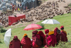 Pemakaman Langit di Tibet: Tradisi Kuno yang Menjadi Pakan Burung Naga