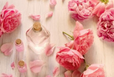 Dibalik Keindahan Bunga Mawar Ternaya Memiliki 8 Manfaat untuk Kulit Wajah