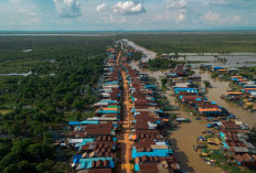 Waw! Ini Dia Danau Terbesar di Asia Tenggara Luasnya Mencapai 2.700 Km