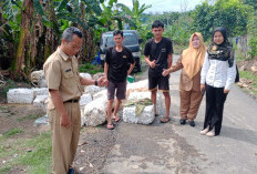 Ribuan Warga Lahat Masih Menggantungkan Hidup pada Karet, Harga Capai Rp 24 Ribu Perkilogram