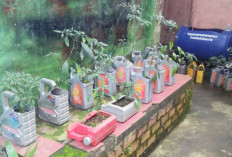 Sulap Jeriken Oli Bekas Jadi Pot Cabai, Warga Empat Lawang Buktikan Berkebun Tak Perlu Lahan Luas