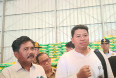 Penyerapan Gabah Diberhentikan Sementara, Bulog Tegaskan Ikuti Regulasi Pusat