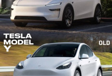 Sejak Meluncur Pada 2020 Yang Lalu, Tesla Model Y Menjadi Salah Satu Mobil Terlaris di Dunia