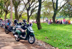 Momen Idul Adha 2025, Bendungan Lematang Lahat Membludak