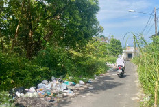 Muncul Bau Tak Sedap! Tumpukan Sampah Menumpuk di Sepanjang Jalan Dusun Pagar Sari Lahat