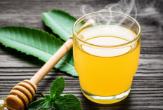 Tanaman Obat Ramuan Daun Sirsak dan Madu, Dukungan Kesehatan Menyeluruh dan Penambah Imun