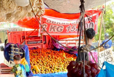 Pedagang Jeruk Kian Ramai di Lahat, Promo 2 Kg Hanya Rp 15.000
