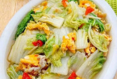Ini Dia Ide Masakan Putih Telur yang Super Praktis, Lezat dan Bergizi