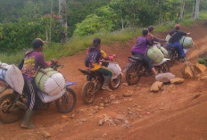 Masih Tanah, Petani Terpaksa Gass Pol