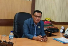 Tempatkan Cahaya Jilid II Maju di Pilkada