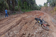 Kesenjangan Infrastruktur di Kikim Area, Jalan Mulus di Selatan, Warga Barat-Timur Masih Menanti Perhatian