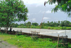 Memancing di Sungai Lematang, Cara Warga Nikmati Ngabuburit Ramadhan
