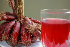 Mengenal Manfaat Tanaman Obat Bawang Dayak Untuk Kesehatan Tubuh
