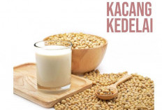 7 Manfaat Tanaman Obat Kacang Kedelai Untuk Kesehatan Tubuh, Nomor 5 Baik Untuk Penderita Diabetes