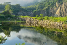 Randubang Wonogiri, Miliki Potensi Pertanian Yang Melimpah