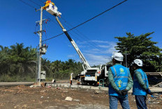 Pencurian Aset Kelistrikan PLN Mengganggu Keandalan dan Kenyamanan Pengguna Listrik, Cegah Dengan Cara Ini