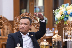 Cik Ujang Jadi Calon Tunggal Ketua DPD Demokrat Sumsel, Fitrizal: Dimasa Kepemimpinannya Sangat Luar Biasa 
