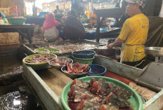 Harga Ikan Nila Naik di Pasar PTM Square Lahat