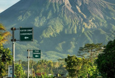 Inilah Keajaiban Alam Gunung Merapi Yogyakarta Yang Eksotis