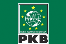 Wabup Lahat Widia Berpeluang ke PKB, Ini Kata Ketua DPC Parisman 
