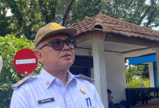 Disiapkan Pemerintah Pusat, Tenaga Pendidik Bisa dari ASN Guru Penggerak