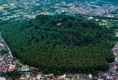 Fakta Menarik Gunung Tidar, Lokasi Pembekalan Kabinet Merah Putih