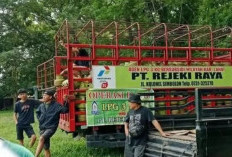 Mantap! Pemkab Lahat Siapkan 10.000 Tabung LPG 3 Kg Selama Ramadhan, Dijual 18 Ribu