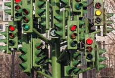 Traffic Light Tree: Karya Seni Unik Piere Vivant yang Mempesona Dunia