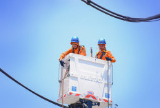 Sistem Kelistrikan Nasional Andal, PLN Berhasil Jaga Layanan Momen Pergantian Tahun