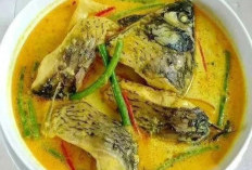 Gulai Ikan Mas Cocok Sebagai Lauk Pendamping Nasi Putih Hangat