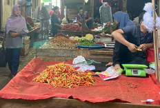Bikin Gigit Jari! Harga Cabai Melonjak di PTM Square Lahat 